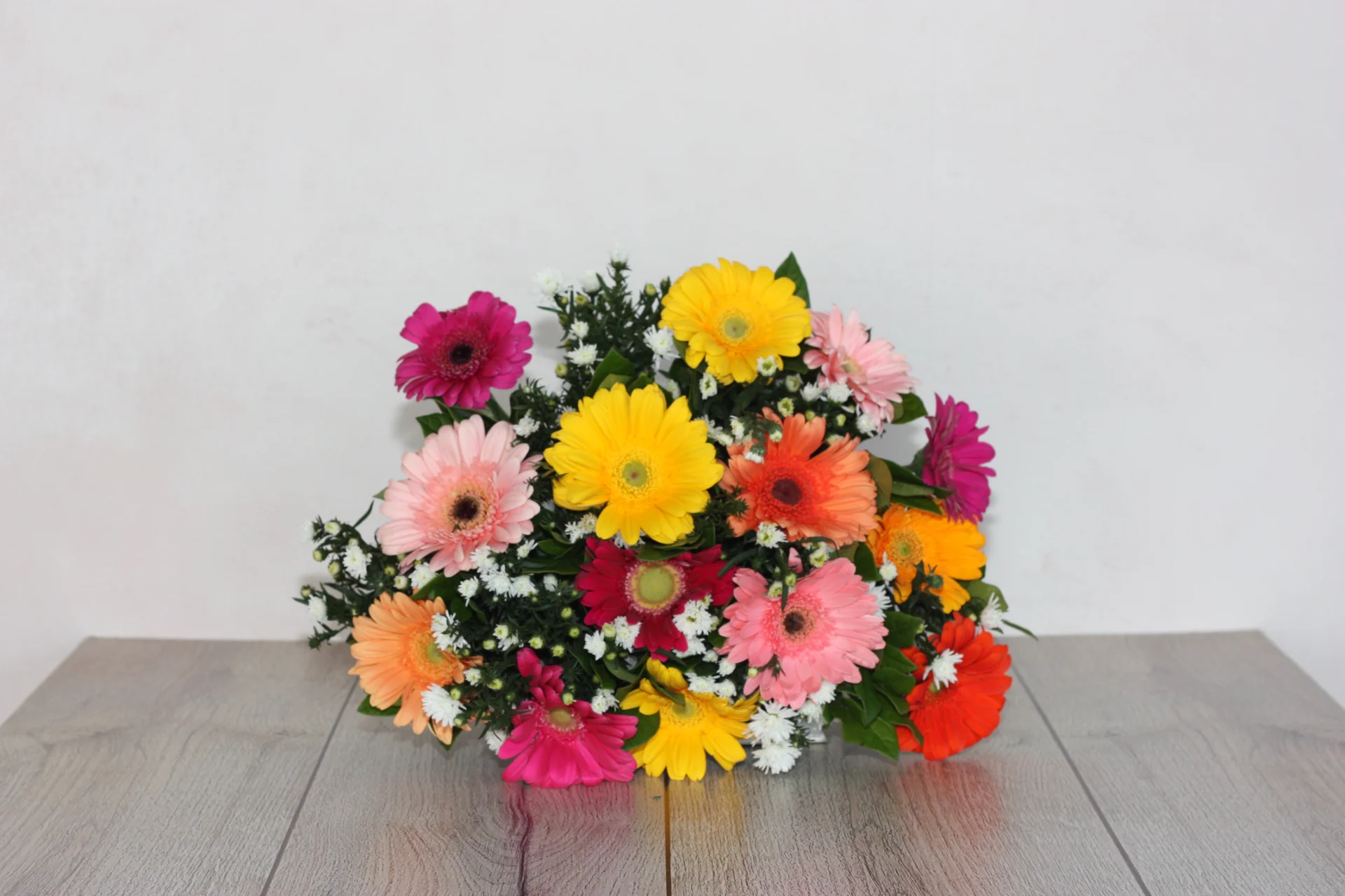 Gerbera Daisy Mix