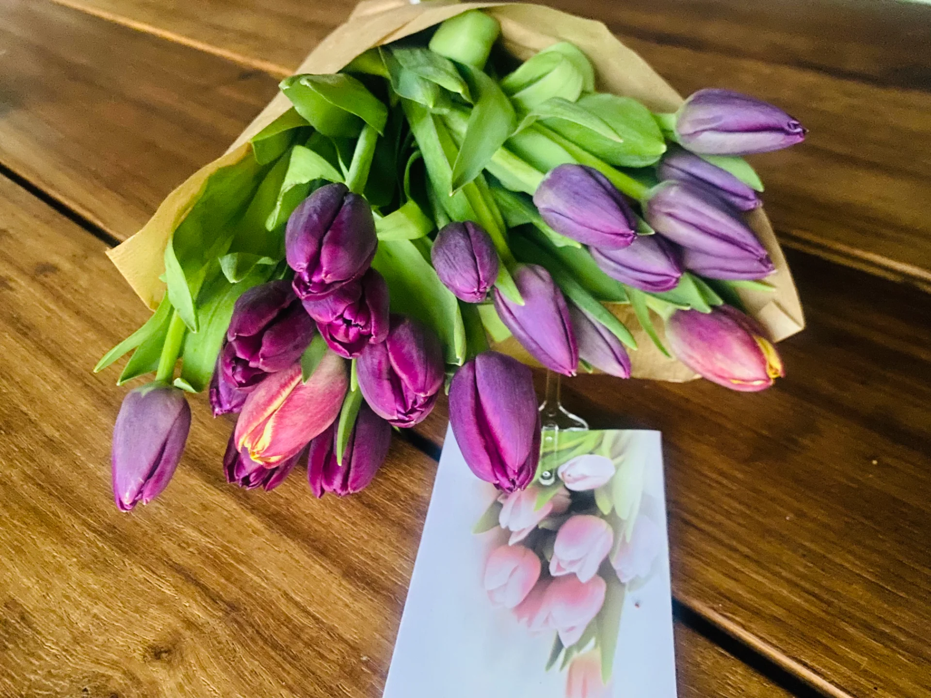 Purple Tulips